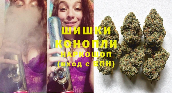 шишки Горняк