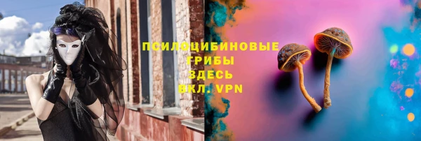 кокс Абаза