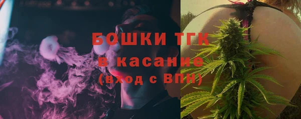 экстази Ельня