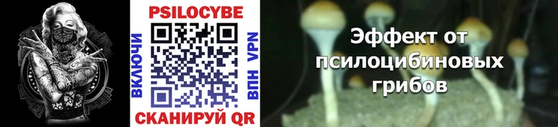 Галлюциногенные грибы Psilocybe  хочу наркоту  Кирсанов 